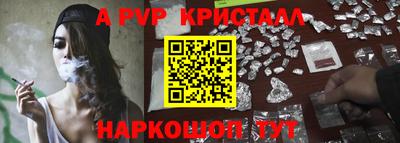 шишки Новодвинск