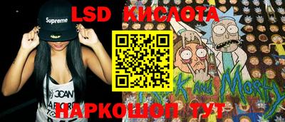 шишки Новодвинск