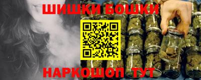 шишки Новодвинск
