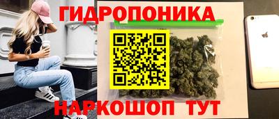 гашиш Новозыбков