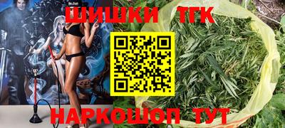 шишки Новодвинск