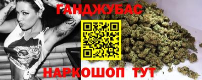 шишки Новодвинск
