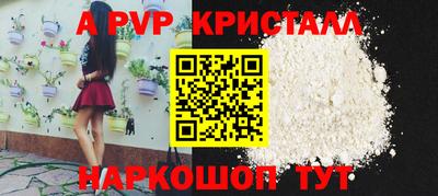 шишки Новодвинск