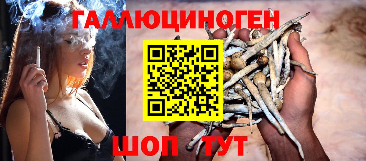 Псилоцибиновые грибы Cubensis Троицк