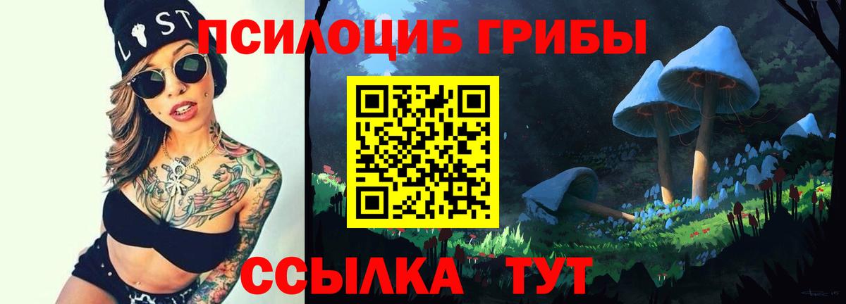 Псилоцибиновые грибы Cubensis  Вход с VPN  Троицк 